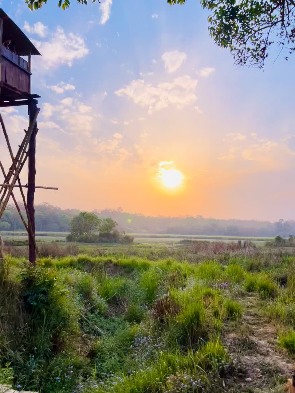 Sunrise over a Dudhwa grassland watchtower